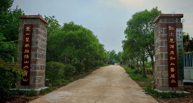 马陵九道湾山泉水——源自郯城马陵山清泉寺国有林场腹地的康养佳品